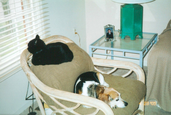 2005-4-23-daisy-jake-